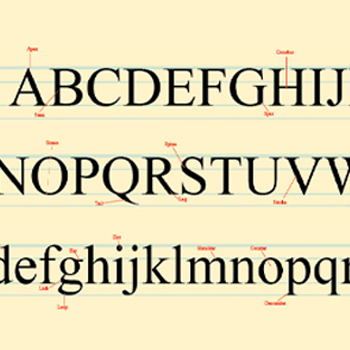 Typography